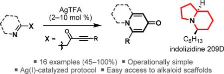 Ag(I)-Catalyzed Synthesis of Azabicyclic Alkaloid Frameworks from Ketimine-Tethered Ynones: Total Synthesis of Indolizidine 209D